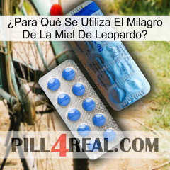 ¿Para Qué Se Utiliza El Milagro De La Miel De Leopardo 40